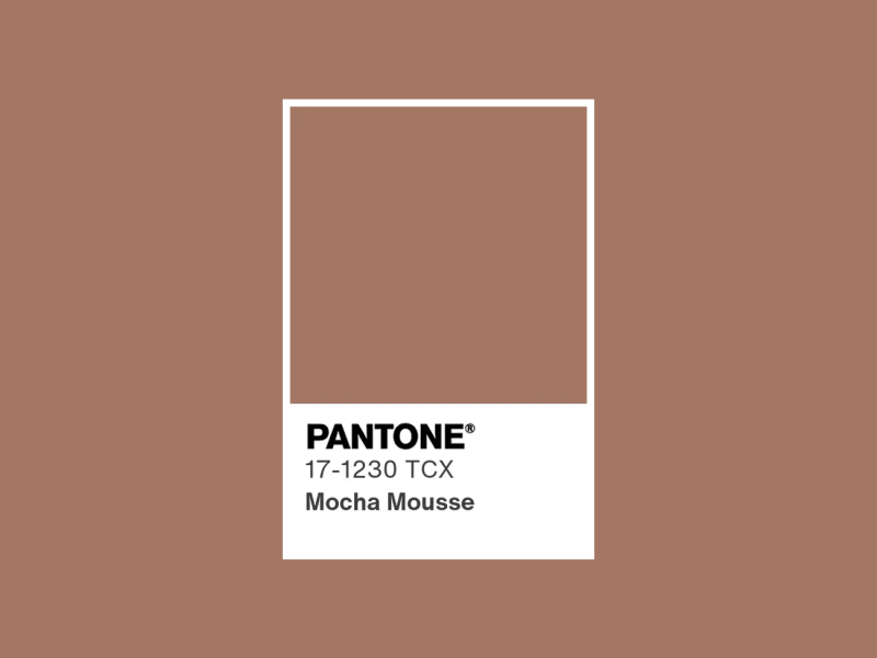 Mocha Mousse Pantone Color of the year 2025